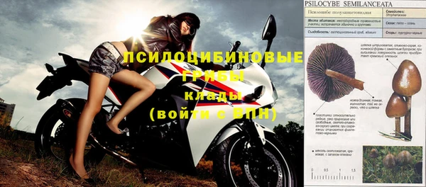 mdpv Верхний Тагил