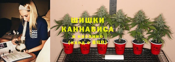 mdpv Верхний Тагил