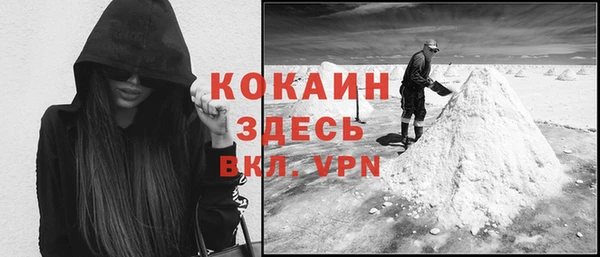 шишки Володарск